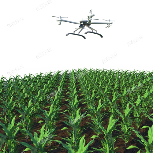 无人机田间高通量植物表型采集分析平台TP-GTL-AIR